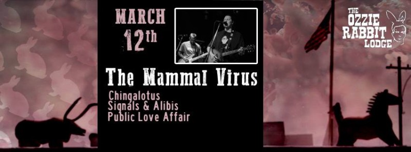 03.12.15 @ Ozzie Rabbit